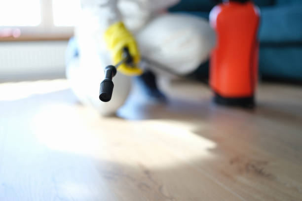  Madison Center, CT Mold Removal Pros