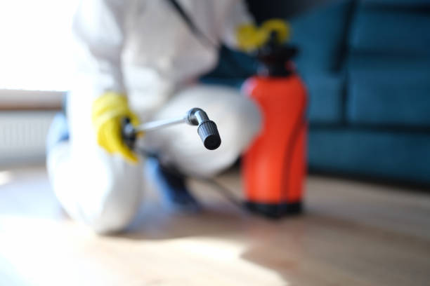 Best Water Damage & Mold Remediation  in Madison Center, CT